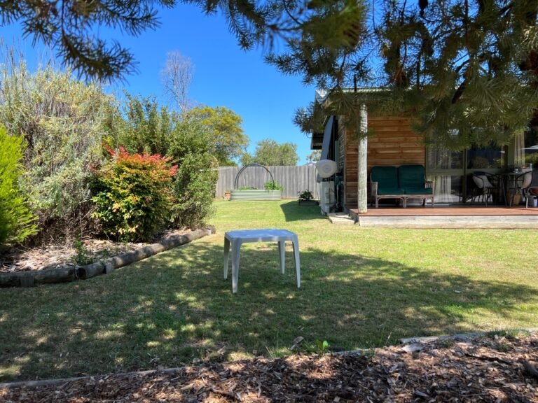 2 FERN CRT 768x576